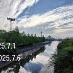 東京の東の端から「わたしのウォーキング記録」（2025・7月1週）