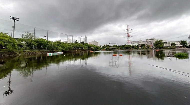 東京の東の端からわたしのウォーキング記録（2025.7.15)2