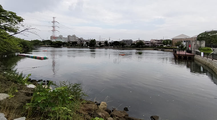 東京の東の端からわたしのウォーキング記録（2025.7.16)1