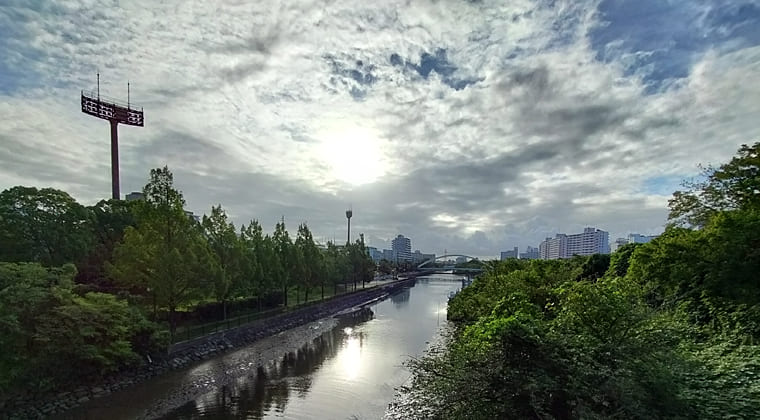 東京の東の端からわたしのウォーキング記録（2025.7.18)1