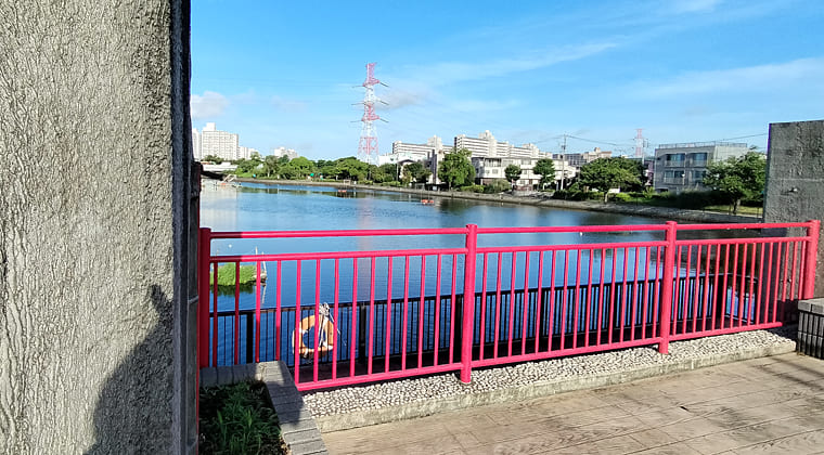 東京の東の端からわたしのウォーキング記録（2025.7.18)2