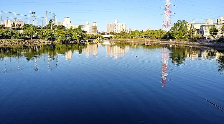東京の東の端からわたしのウォーキング記録（2025.7.29)1
