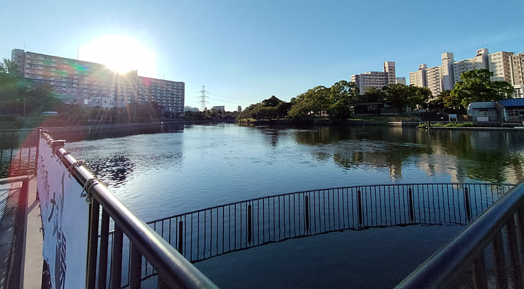 東京の東の端からわたしのウォーキング記録（2025.7.29)2
