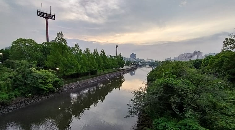 東京の東の端からわたしのウォーキング記録（2025.7.2)
