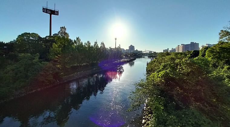 東京の東の端からわたしのウォーキング記録（2025.7.30)1
