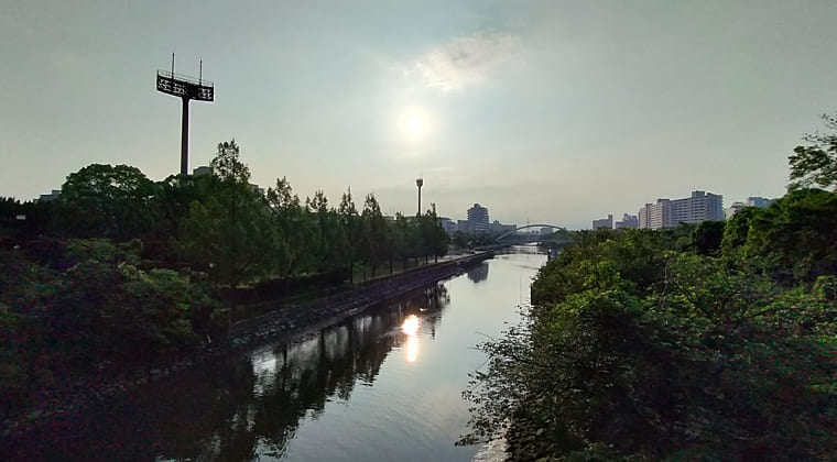 東京の東の端からわたしのウォーキング記録（2025.7.3)