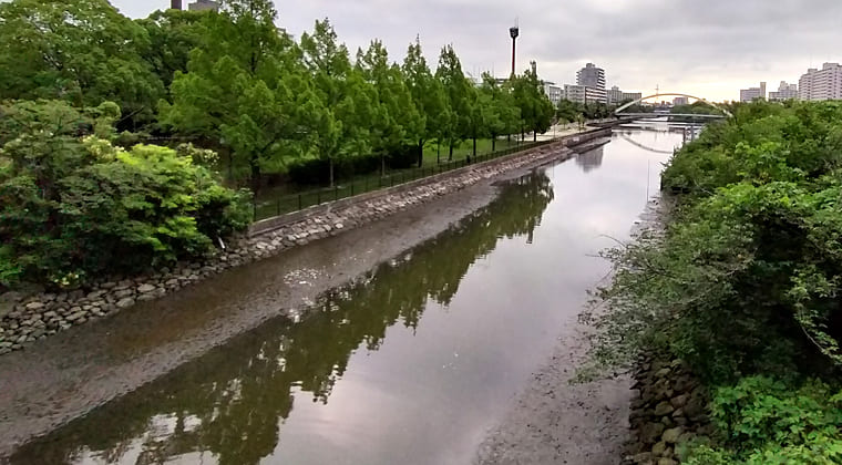 東京の東の端からわたしのウォーキング記録（2025.7.4)1