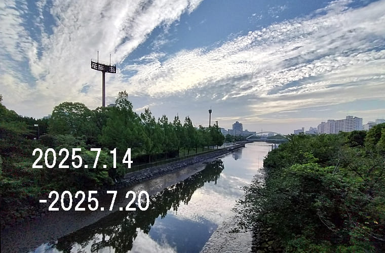 東京の東の端から「わたしのウォーキング記録」（2025・7月3週）