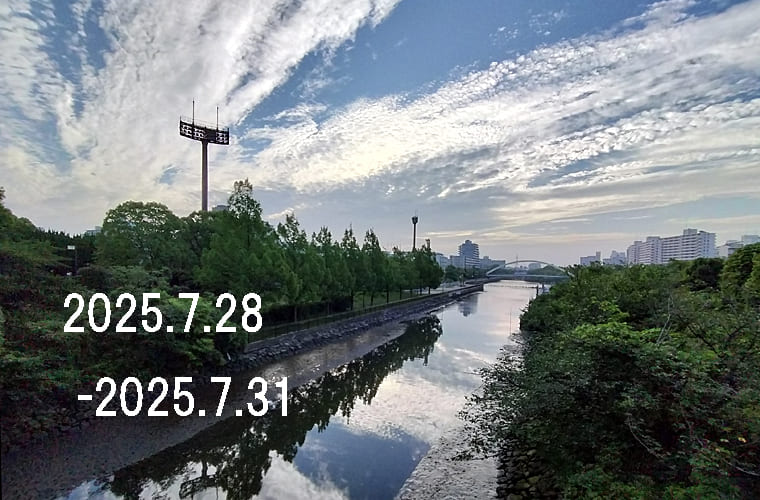 東京の東の端から「わたしのウォーキング記録」（2025・7月5週）