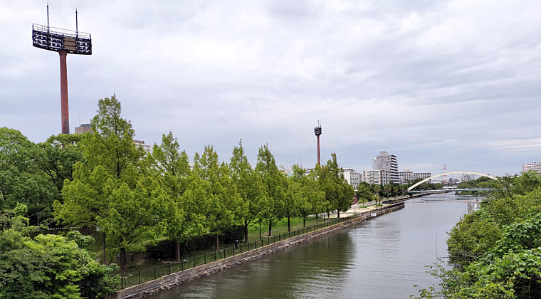 東京の東の端からわたしのウォーキング記録（2025.8.10)1