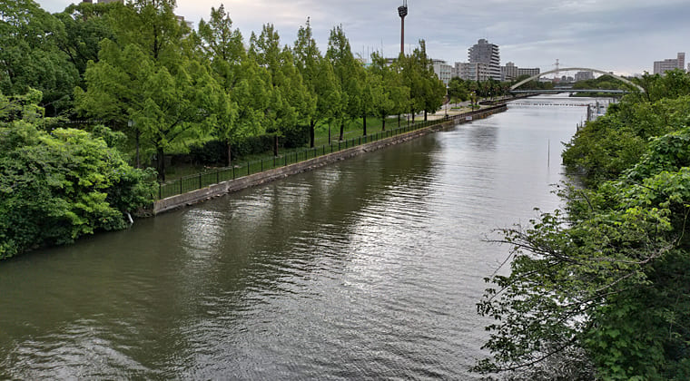 東京の東の端からわたしのウォーキング記録（2025.8.12)1