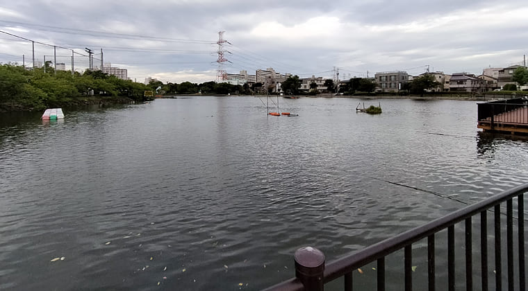 東京の東の端からわたしのウォーキング記録（2025.8.12)2