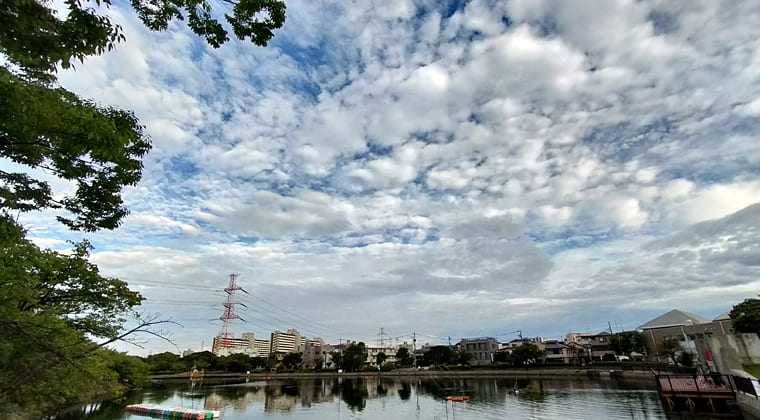 東京の東の端からわたしのウォーキング記録（2025.8.13)4