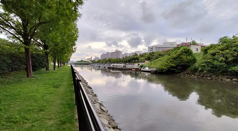 東京の東の端からわたしのウォーキング記録（2025.8.14)2