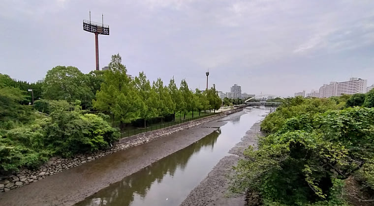 東京の東の端からわたしのウォーキング記録（2025.8.16)1