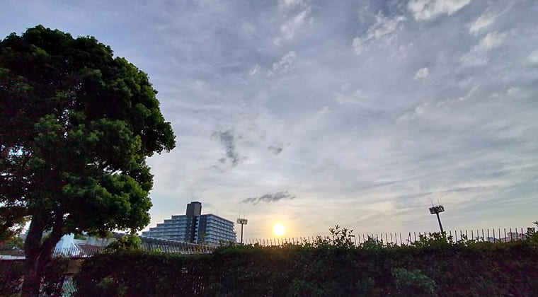東京の東の端からわたしのウォーキング記録（2025.8.18)2