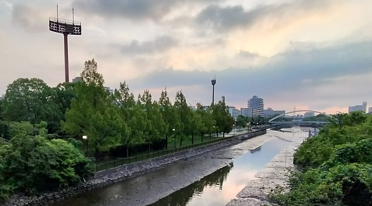 東京の東の端からわたしのウォーキング記録（2025.8.19)1