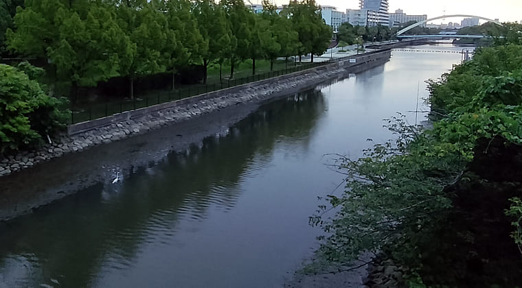 東京の東の端からわたしのウォーキング記録（2025.8.1)1