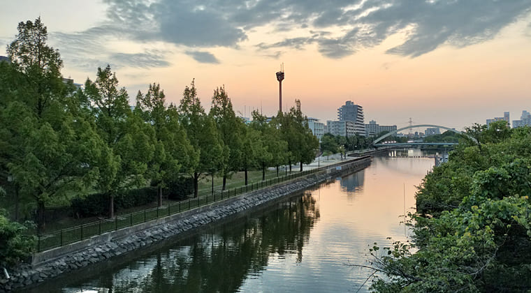 東京の東の端からわたしのウォーキング記録（2025.8.21)2