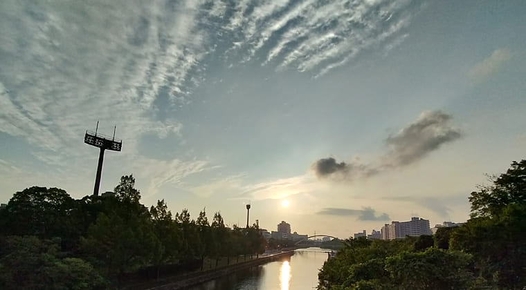 東京の東の端からわたしのウォーキング記録（2025.8.25)1