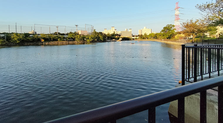 東京の東の端からわたしのウォーキング記録（2025.8.27)2