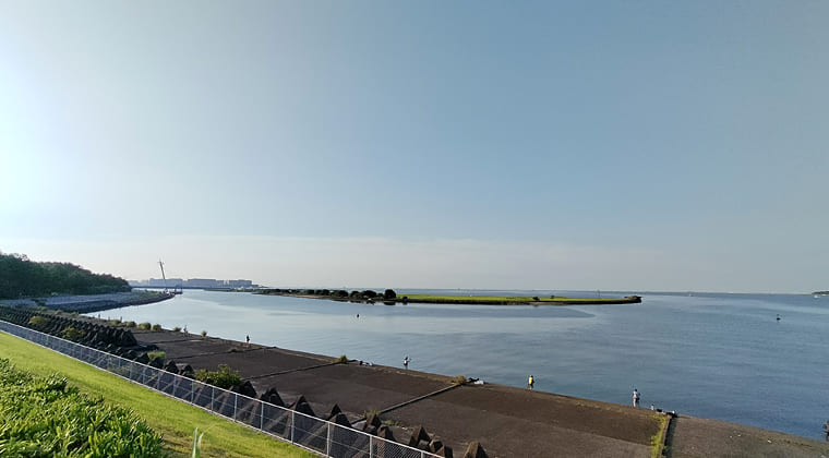 東京の東の端からわたしのウォーキング記録（2025.8.3)1