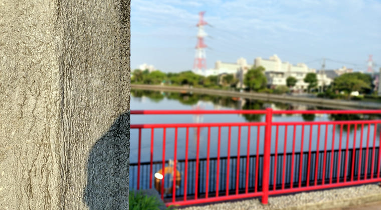 東京の東の端からわたしのウォーキング記録（2025.8.6)2