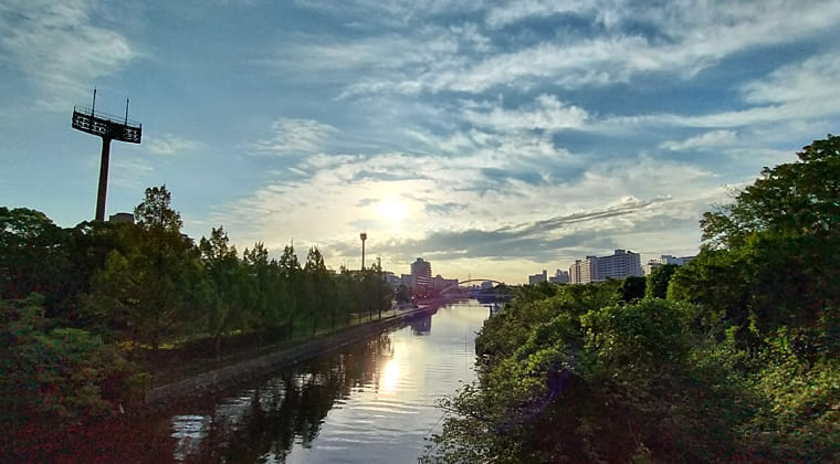 東京の東の端からわたしのウォーキング記録（2025.8.8)1