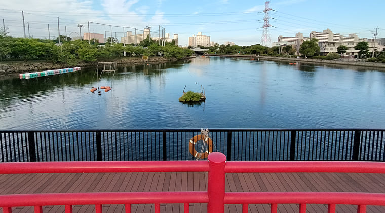 東京の東の端からわたしのウォーキング記録（2025.8.8)3