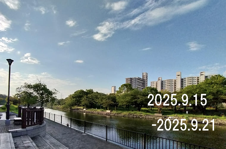 わたしのウォーキング記録（2025.9月2週目）