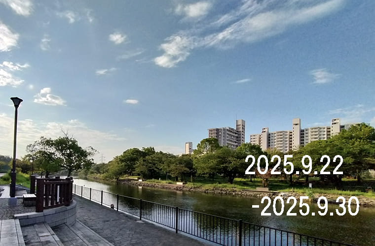 わたしのウォーキング記録（2025.9月4週目）