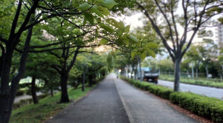 東京の東の端からわたしのウォーキング記録（2025.9.17）2