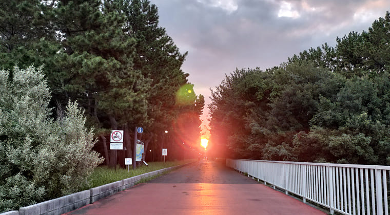 東京の東の端からわたしのウォーキング記録（2025.9.28）3