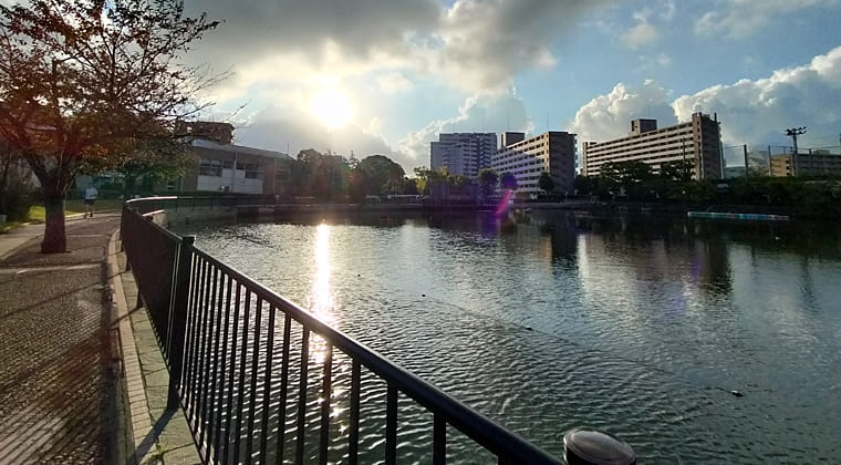 東京の東の端からわたしのウォーキング記録（2025.9.7）2