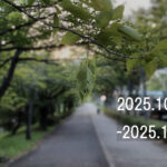 わたしのウォーキング記録（2025.10月3週目）