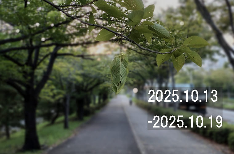 わたしのウォーキング記録（2025.10月3週目）