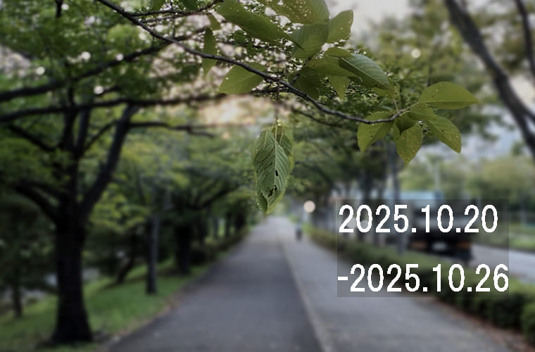 わたしのウォーキング記録（2025.10月4週目）