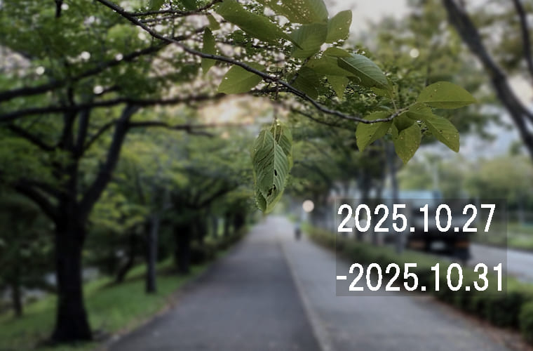 わたしのウォーキング記録（2025.10月5週目）