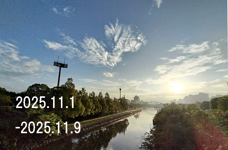 わたしのウォーキング記録（2025.11月1週目）