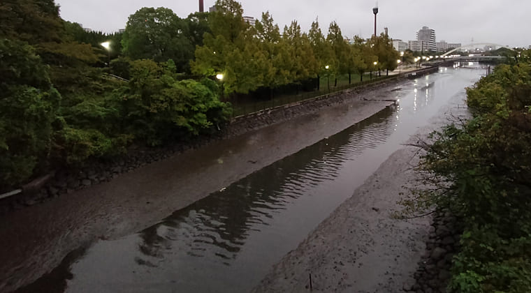 東京の東の端からわたしのウォーキング記録（2025.10.16）1