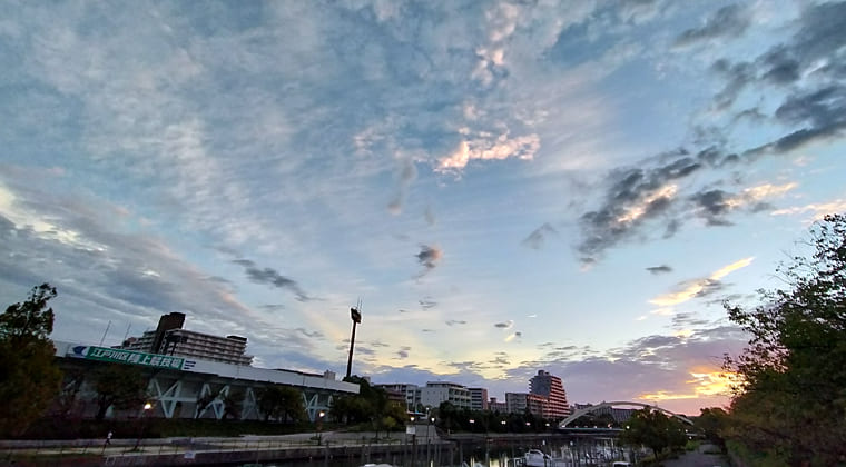 東京の東の端からわたしのウォーキング記録（2025.10.19）2