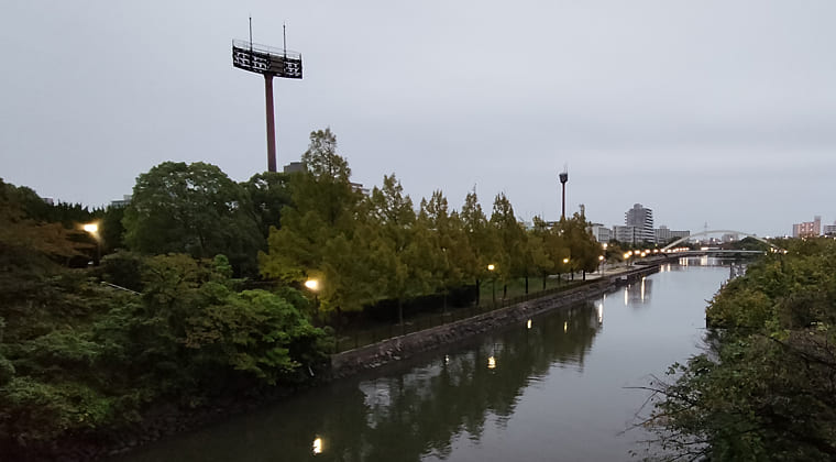 東京の東の端からわたしのウォーキング記録（2025.10.25）