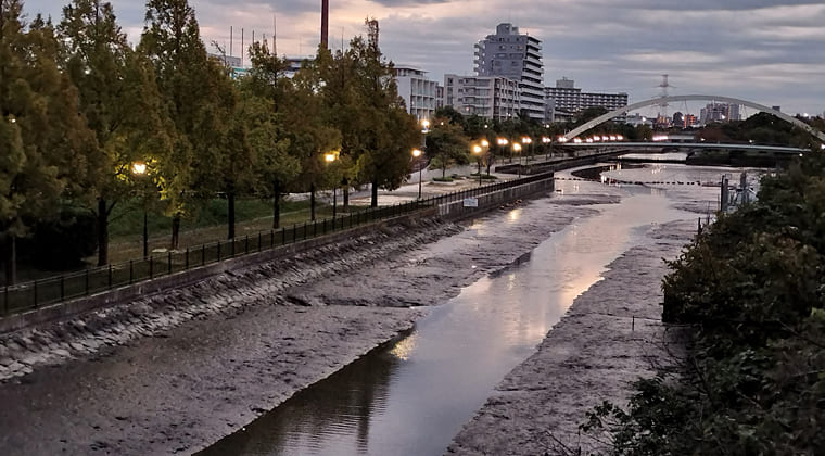 東京の東の端からわたしのウォーキング記録（2025.10.29）1