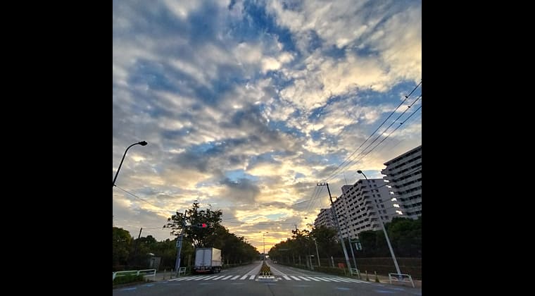 東京の東の端からわたしのウォーキング記録（2025.10.4）2