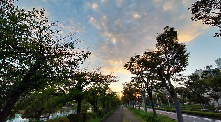 東京の東の端からわたしのウォーキング記録（2025.10.7）2