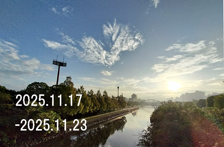 わたしのウォーキング記録（2025.11月3週目）