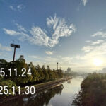 わたしのウォーキング記録（2025.11月4週目）