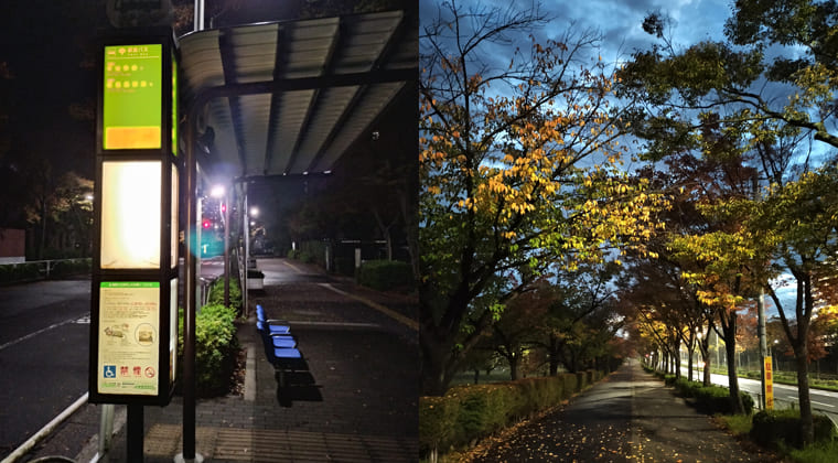 東京の東の端からわたしのウォーキング記録（2025.11.5）2