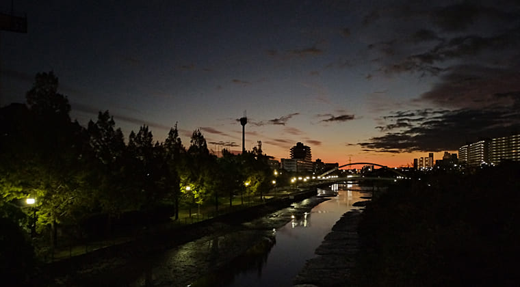 東京の東の端からわたしのウォーキング記録（2025.11.11）1