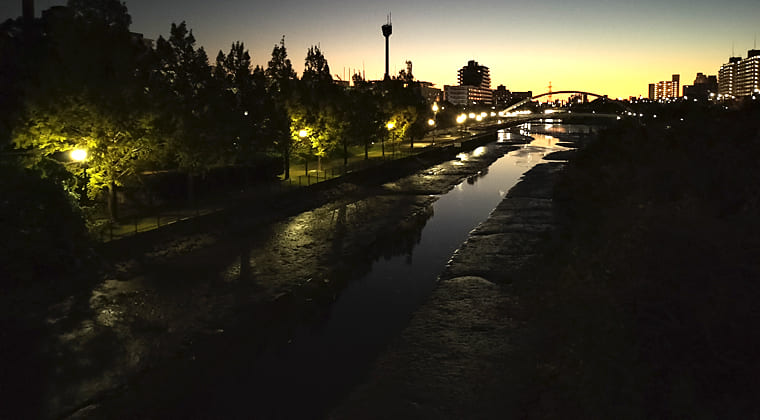 東京の東の端からわたしのウォーキング記録（2025.11.12）1